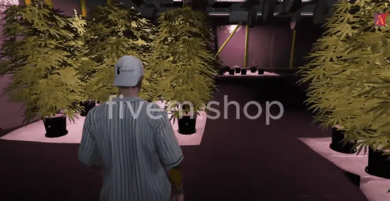 Weed processing MLO