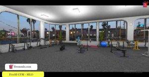 FiveM GYM MLO