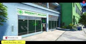 FiveM Weed Shop MLO